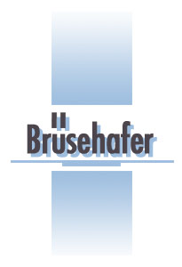 Schreiner Mecklenburg-Vorpommern: Tischlerei Brüsehafer